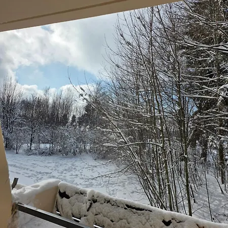 Lejlighed Waldfeder Mit Pool Und Fitnessraum, Neu Und Vollsaniert Sankt Englmar