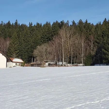 Lejlighed Waldfeder Mit Pool Und Fitnessraum, Neu Und Vollsaniert